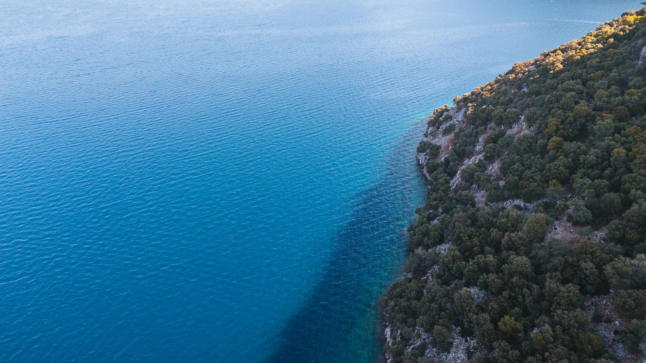 Aqua coastline detail