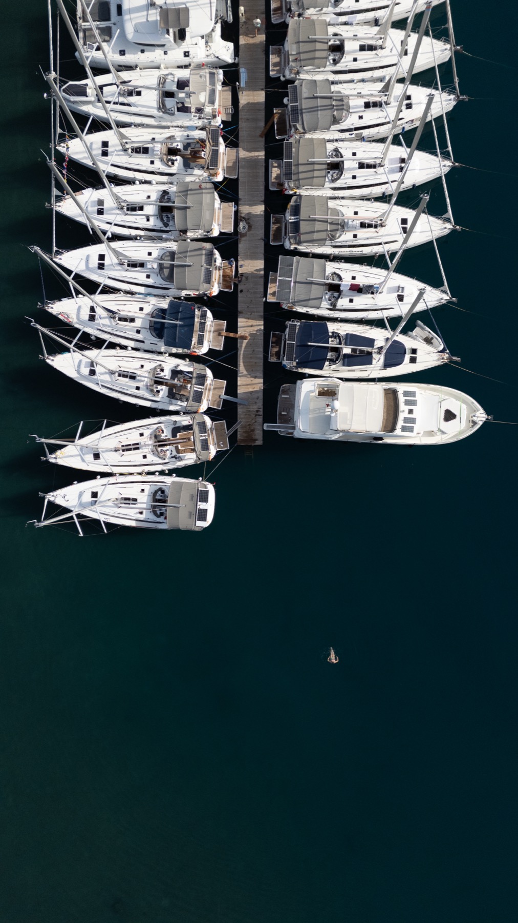 Yachts aligned at the marina from above